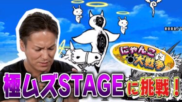 【にゃんこ大戦争】EIKO、極ムズ STAGEに挑戦！！【#4】