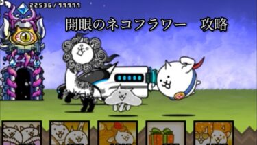 開眼のネコフラワー　攻略　［にゃんこ大戦争］