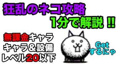 【1分で解説】狂乱のネコ簡単攻略~キャラ&施設レベル20以下でクリア~ にゃんこ大戦争