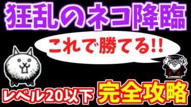 【にゃんこ大戦争】狂乱のネコ降臨は低レベルでも絶対に勝てます！攻略に必要なことを徹底解説（暗黒憑依）【The Battle Cats】