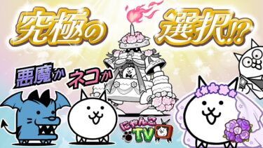 【にゃんこTV】悪魔のジューンブライド2024にゃ！【にゃんこ大戦争公式】