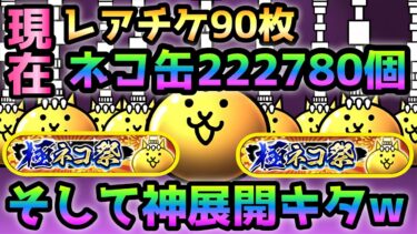 極ネコ祭  イザナミ一点狙いの結果・・奇跡起きましたwにゃんこ大戦争