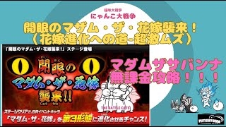 《にゃんこ大戦争-The battle cats》￥無課金勢￥ 開眼のマザム・ザ・花嫁襲来！（花嫁進化への道-超激ムズ）240618　[貓咪大戰爭-냥코 대전쟁]