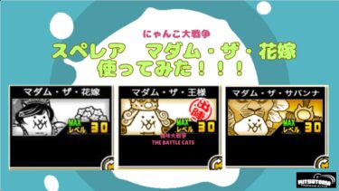 《にゃんこ大戦争-The battle cats》￥無課金勢￥ 【使ってみた】スペレア（マダム・ザ・花嫁）240623　[貓咪大戰爭-냥코 대전쟁]