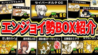 【にゃんこ大戦争】ユザラン12500に到達したエンジョイ勢のBOX紹介！