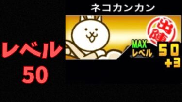 カンカンレベル50になったよ。【にゃんこ大戦争実況#450】