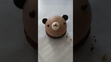 熊のチョコムースケーキ