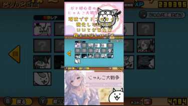 ガチ初心者【にゃんこ大戦争】現状報告とこの先、強化したほうがいいキャラを教えてほしいです♪#にゃんこ大戦争