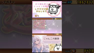 ガチ初心者【にゃんこ大戦争】超激猫祭りのガチャ引けるようになったからレアチケ17枚で挑んだ！ら、出たっ！#にゃんこ大戦争