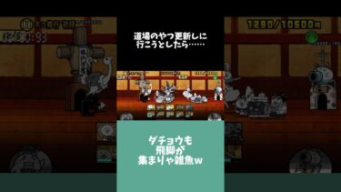 道場更新チャレンジ#にゃんこ大戦争 #ゲーム実況