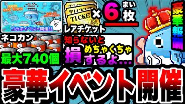 【にゃんこ大戦争】ネコカン最大”740”個！レアチケ”6”枚以上⁉︎生きろマンボウコラボ&ねこのなつやすみサバイバルイベントを徹底解説！【初心者】【リュウの実況部屋】【ネコホタテ】