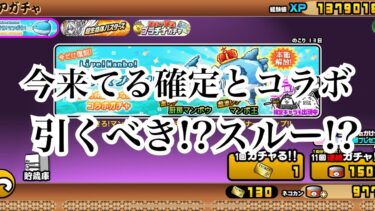 【にゃんこ大戦争】今来てる確定ガチャとコラボは、引くべきか考えて見た