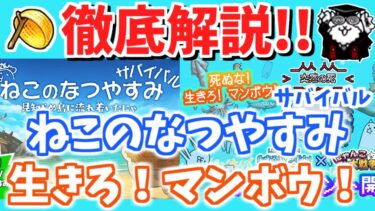 【にゃんこ大戦争】新イベント！？ねこのなつやすみサバイバル開催！生きろ！マンボウ！コラボと合わせて徹底解説【The Battle Cats】