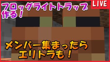 エリトラ欲しい！＃マイクラ＃マインクラフト＃minecraft＃生配信