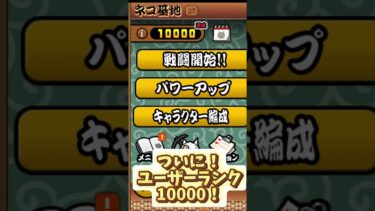 ユーザーランク10000きました！#にゃんこ大戦争 #初心者