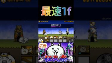 【にゃんこ大戦争】最速1f＃にゃんこ大戦争