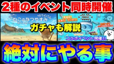 2種のイベント「ねこのなつやすみサバイバル×生きろマンボウコラボ」同時開催！絶対にやるべき事を解説！更に「超生命体バスターズガチャ×マンボウコラボガチャ」も解説！　#にゃんこ大戦争