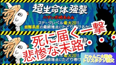 【ゲーム実況】にゃんこ大戦争 ハマンボ崎あゆみ その横顔にフル棍棒 死に届く一撃 トリスタクソ親父 驚愕