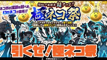 【にゃんこ大戦争】引くぜ！極ネコ祭ガチャ配信