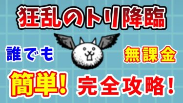 【にゃんこ大戦争】狂乱のトリ簡単攻略！無課金で勝つ方法を完全解説！【初心者】