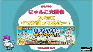 《にゃんこ大戦争-The battle cats》￥無課金勢￥ 【使ってみた】スペEX（イワシ）240820　[貓咪大戰爭-냥코 대전쟁] 　＠りつとまチャンネル#にゃんこ大戦争