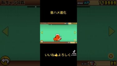 キャラの進化を音ハメへ #にゃんこ大戦争 #ゲーム実況