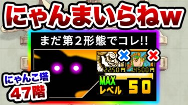 にゃんまもヘラクライストも不要！にゃんこ塔47階　これが新しい攻略法です　にゃんこ大戦争