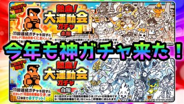 遂に来た！熱血大運動会ガチャ  コレ、マジで神ガチャ です！　にゃんこ大戦争