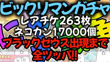 にゃんこ大戦争　ビックリマンガチャ　ブラックゼウスが出るまでぶん回してみた！