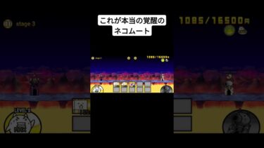 これが本当の覚醒のネコムート #bcu #ゲーム実況 #にゃんこ大戦争 #ゲーム #にゃんこ大戦争コラボ #ショート #battlecats #games #shorts