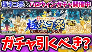 【初心者向け】極ネコ祭来たけど引くべき？そしてハロウィンガチャはどうするべき？初心者向け解説！【にゃんこ大戦争】