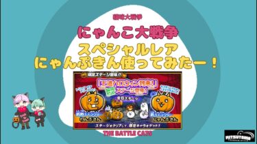 《にゃんこ大戦争-The battle cats》￥無課金勢￥【使ってみた】スペレア（にゃんぷきん）241018　[貓咪大戰爭-냥코 대전쟁] 　＠りつとまチャンネル#にゃんこ大戦争