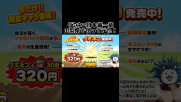 にゃんこ大戦争課金限定キャラ「グミネコ」日本編一章山梨県で使ってみた！ #にゃんこ大戦争 #にゃんこ大戦争ガチャ #にゃんこ大戦争初心者 #ゲーム