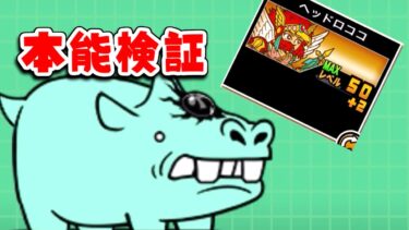 【にゃんこ大戦争】ヘッドロココの本能はどうなんだい！デッカバ強襲駆け込みクリアの生配信