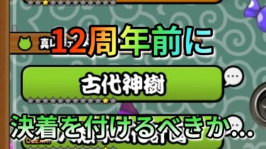 【にゃんこ大戦争】12周年を迎える前に…　#にゃんこ大戦争