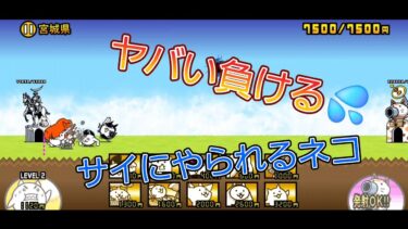 にゃんこ 大戦争 日記 🐱 宮城県 編 ( 第3章 ) ゲーム 動画