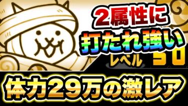 スモウ・ザ・ミイラ / マミー・ザ・ハロウィン　性能紹介　2属性に打たれ強い壁！　にゃんこ大戦争