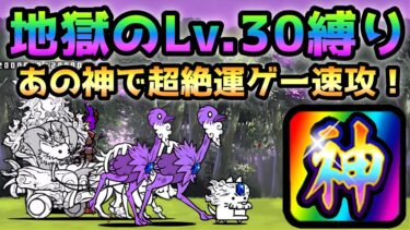 天意に背く落果  Lv.30縛りの地獄ステージ！ まさかのあの神に助けられました！　にゃんこ大戦争　ゆらぎ禁制区域