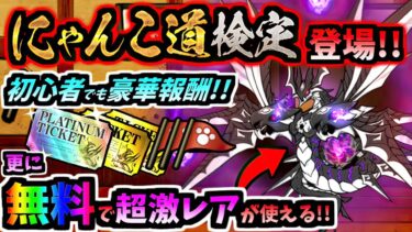 前代未聞の大盤振る舞いイベント！！ にゃんこ道検定 昇格試験 ステージ紹介＆攻略　【にゃんこ大戦争】