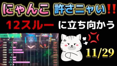 12スルーの台に立ち向かう‼️新台✨Pにゃんこ大戦争 多様性のネコ パチンコLIVE ライブ配信 生配信 リベンジ🔥