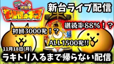 【Pにゃんこ大戦争～ライブ配信～】可愛さと破壊力を持った新台を朝からぶん回す!!