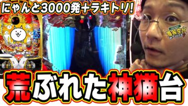 【新台最速】1/155で当るのに荒神猫台にゃーーーーー！！【Pにゃんこ大戦争 多様性のネコ】【日直島田の優等生台み〜つけた♪】[パチンコ][スロット]#日直島田