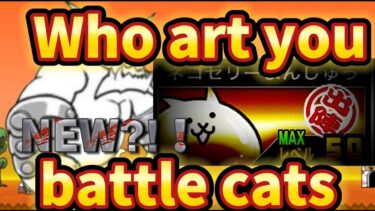 【battlecats】【にゃんこ大戦争】ぶんぶん先生