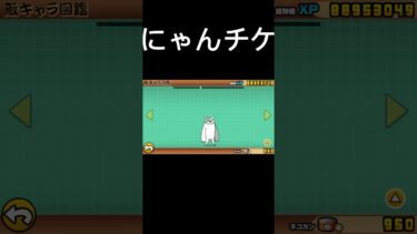 にゃんこ大戦争プロトディスコ#にゃんこ大戦争 #にゃんこ