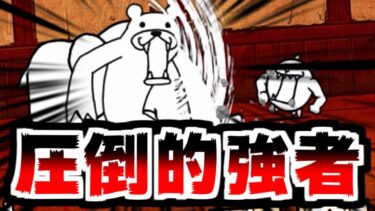 【にゃんこ大戦争】挑戦！にゃんこ道検定！序盤のこいつら普通に強くて草【本垢実況Re#2008】