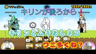 にゃんこ 大戦争 日記 🐱 未来編 第1章 マチュピチュ 攻略 ゲーム 動画