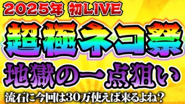 2025年　超極ネコ祭　30万円+αで地獄の１点狙い！にゃんこ大戦争