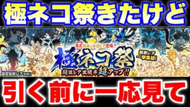 極ネコ祭ガチャ来たけど、注意事項あるから引く前に一応見て欲しい　#にゃんこ大戦争