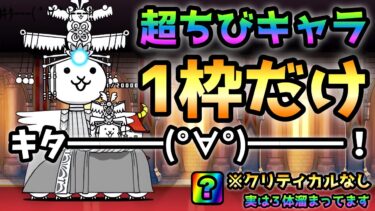 キタ━━━(°∀°)━━━！まさかの超極小1枠で攻略　にゃんこ大戦争