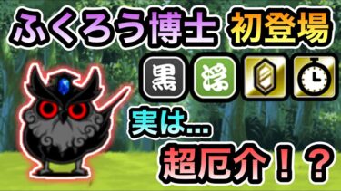 【にゃんこ大戦争】Ver14.1アップデート！ 新超賢者「ふくろう博士」初登場！ レジェンドストーリー0 アンガード大魔宮 万人通す番人 & オートウォーク迷路 & まる出し宝物庫 初見実況プレイ！